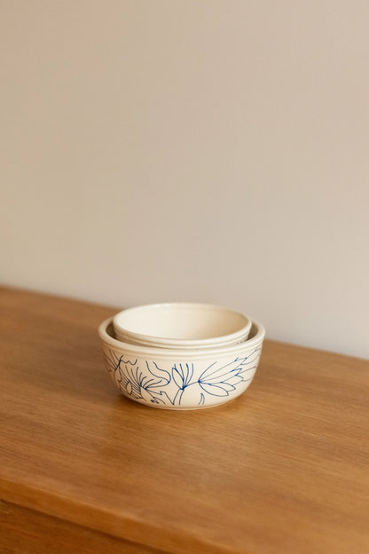 Big bowl